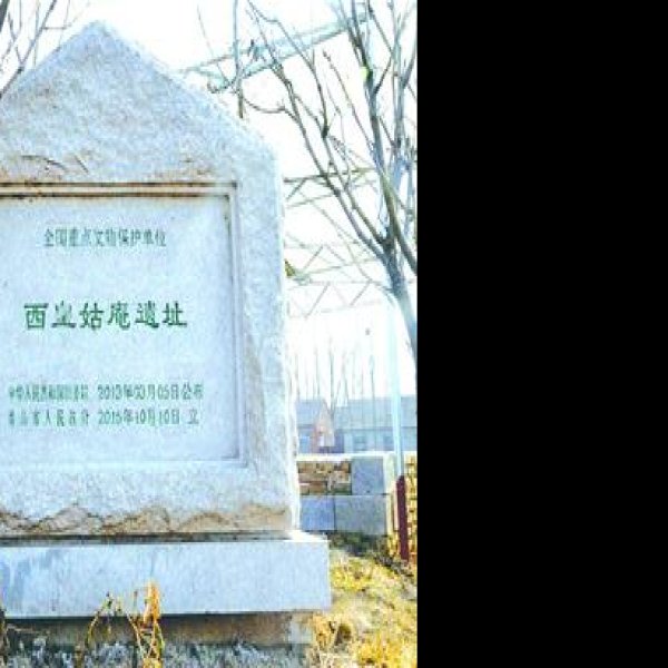 西皇姑庵遗址 - 图片6