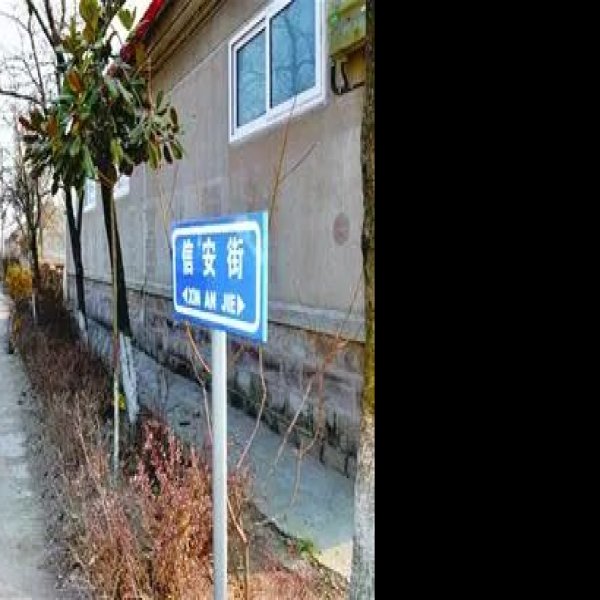 西皇姑庵遗址 - 图片7