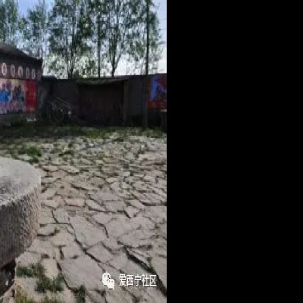 北沈遗址 - 图片5