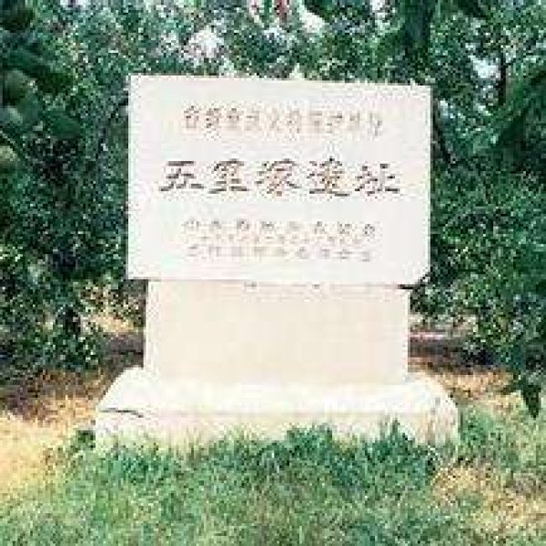 五村遗址 - 图片9