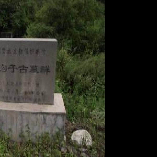 村里集城址及墓群 - 图片8