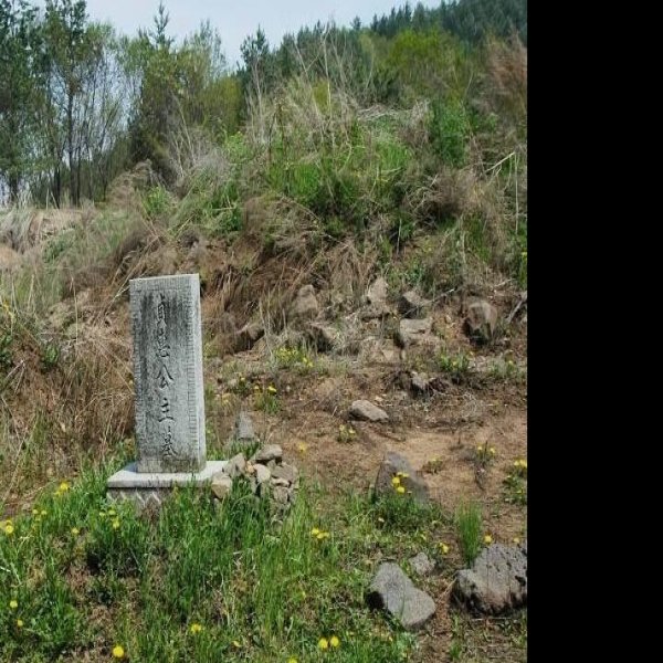 防山墓群 - 图片1