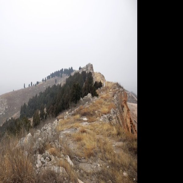 防山墓群 - 图片10