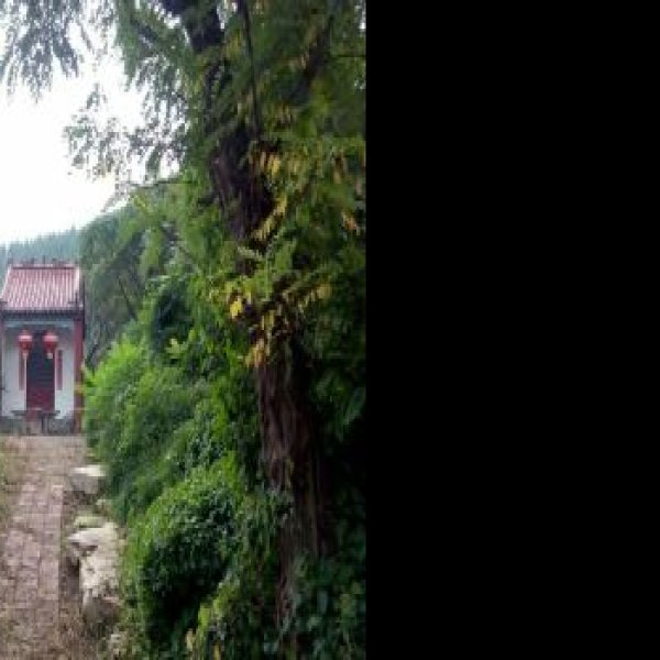 临淄墓群 - 图片6