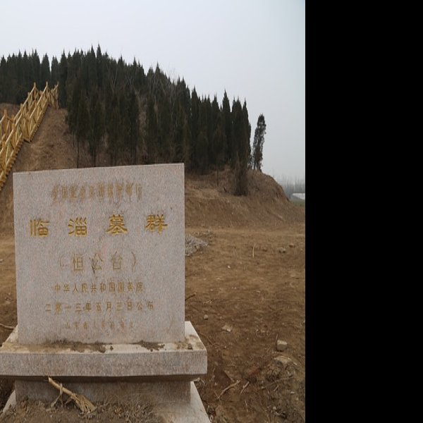 临淄墓群 - 图片8