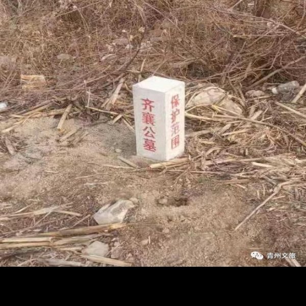 程家沟古墓 - 图片10