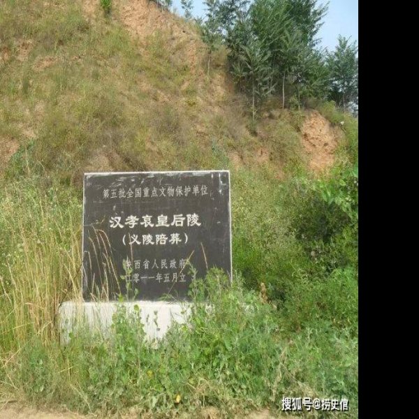 定陶王墓地 - 图片10
