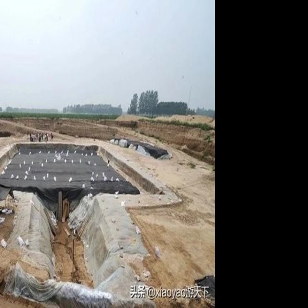 定陶王墓地 - 图片5
