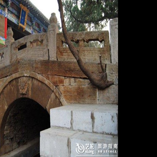 明德王墓地 - 图片10
