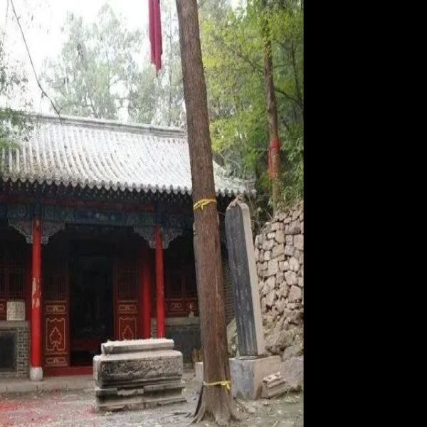 青山寺 - 图片1