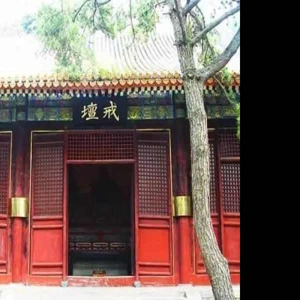 宁阳颜子庙和颜林 - 图片8