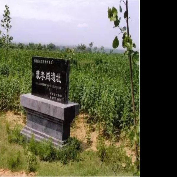 新郑望京楼遗址 - 图片5