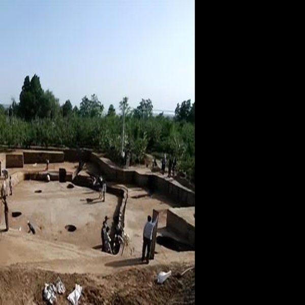 西坡遗址 - 图片2