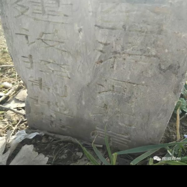 八里岗遗址 - 图片9