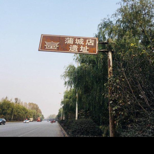 蒲城店遗址 - 图片6