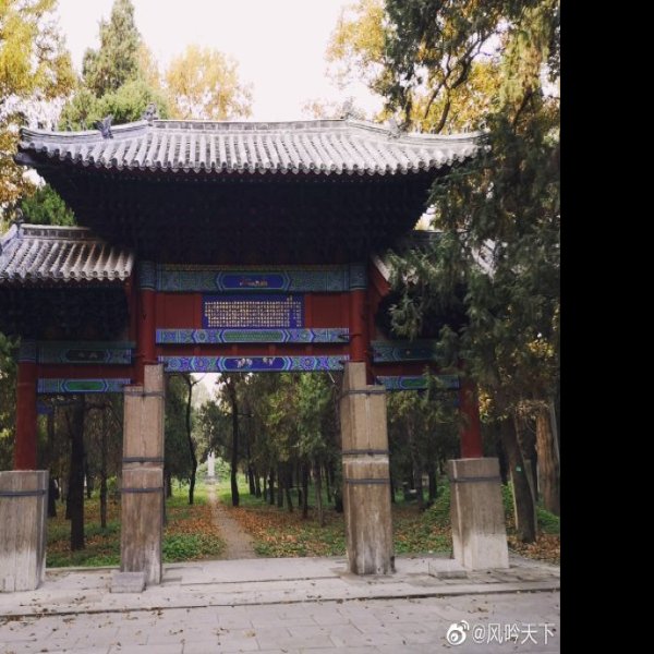 山东曲阜孔林 - 图片4