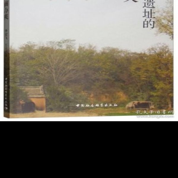 小双桥遗址 - 图片8
