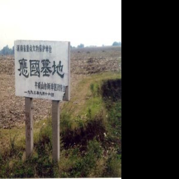 应国墓地 - 图片1
