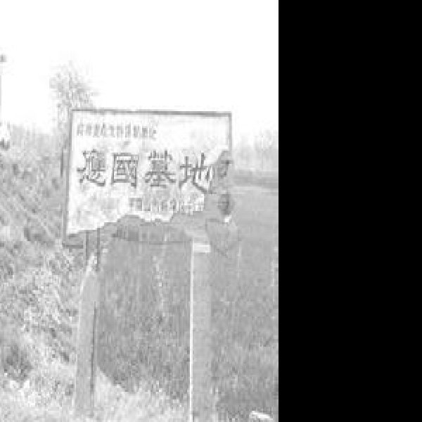 应国墓地 - 图片2