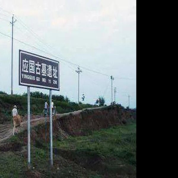应国墓地 - 图片3