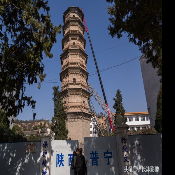 泰塔 - 图片3