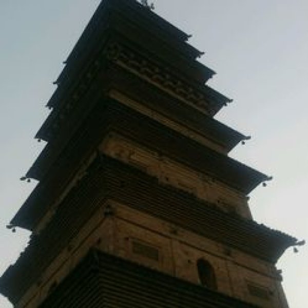 精进寺塔 - 图片10