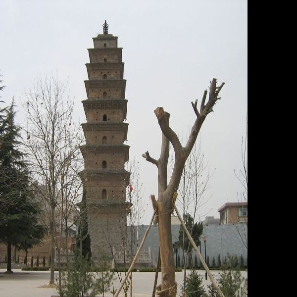 精进寺塔 - 图片6