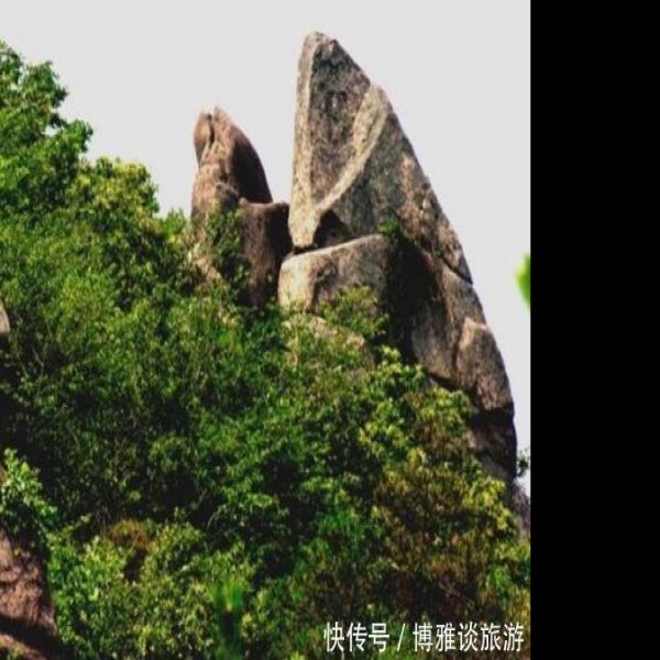 东龙山遗址 - 图片2