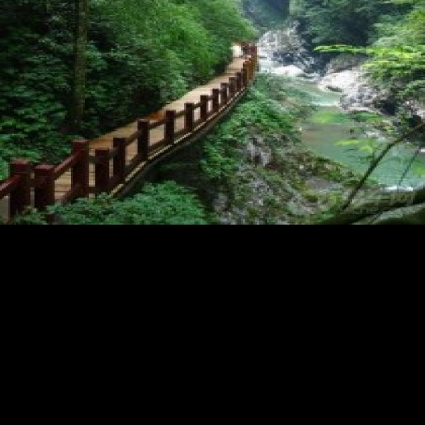 东龙山遗址 - 图片7