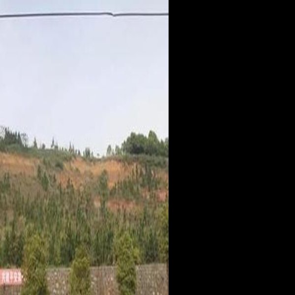 虎爪山遗址 - 图片5