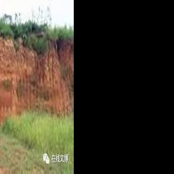 鸡公垱遗址 - 图片3