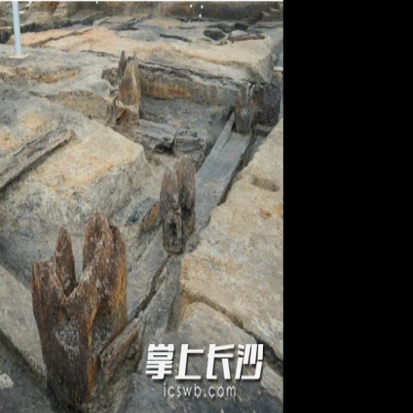 鸡公垱遗址 - 图片4