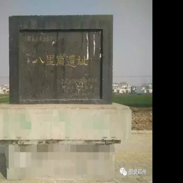 十里岗遗址 - 图片6