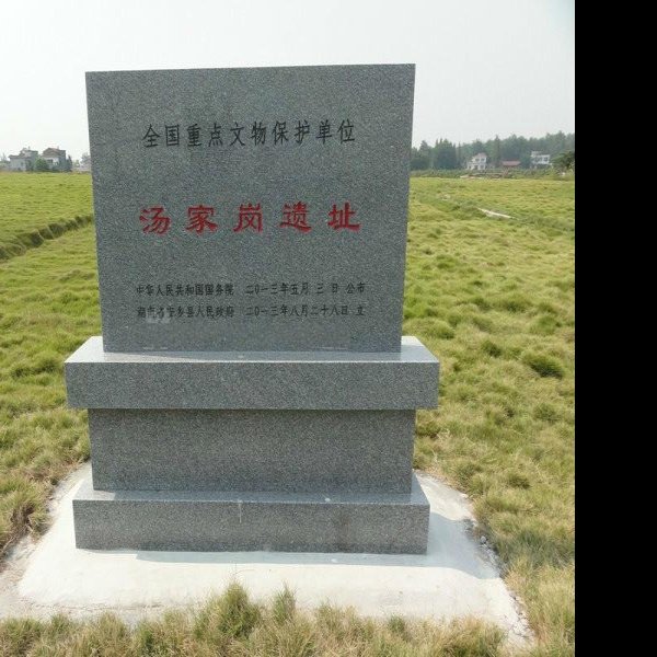 汤家岗遗址 - 图片1
