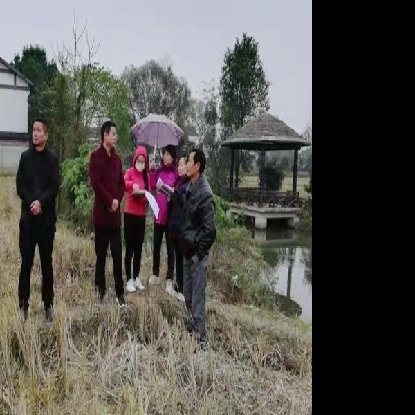 丁家岗遗址 - 图片10