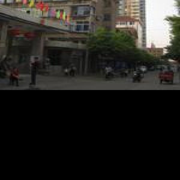 丁家岗遗址 - 图片8