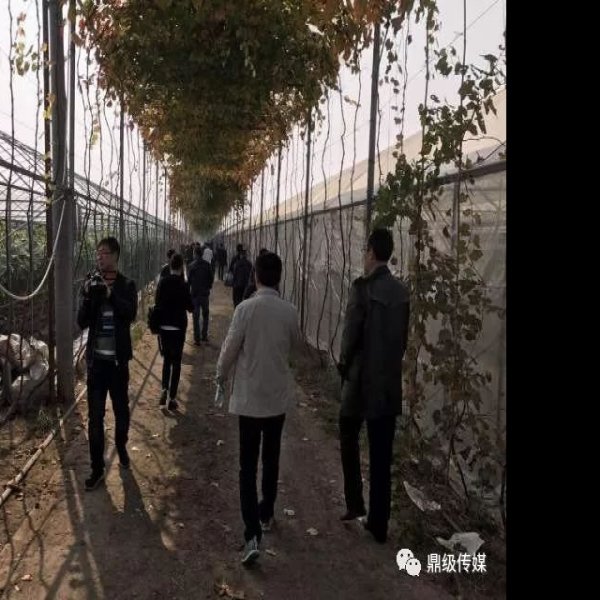 丁家岗遗址 - 图片9