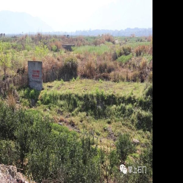 皂市遗址 - 图片2