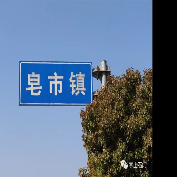 皂市遗址 - 图片3