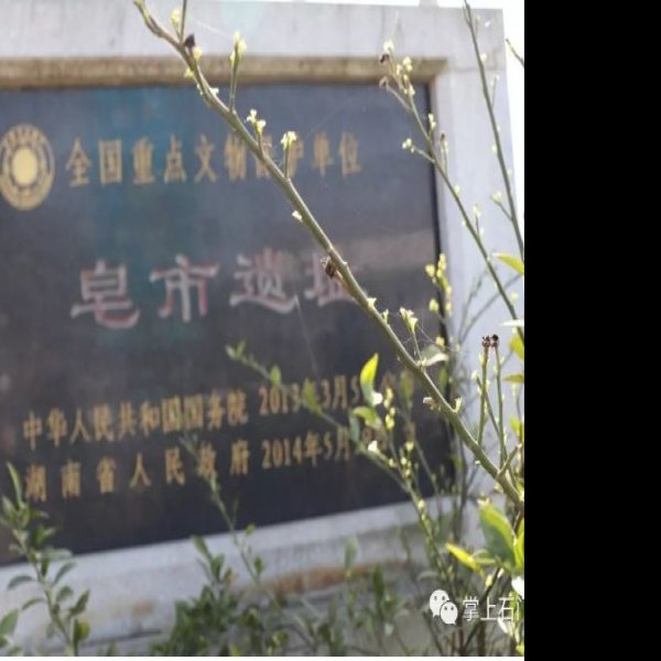 皂市遗址 - 图片4