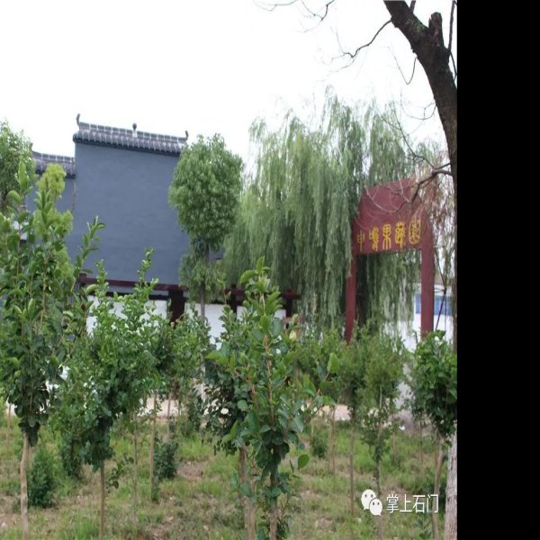 申鸣城遗址 - 图片4