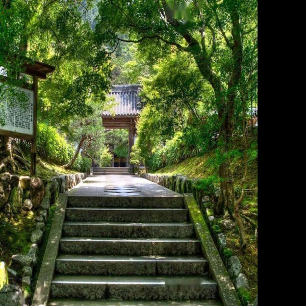 南禅湾晋墓群 - 图片10