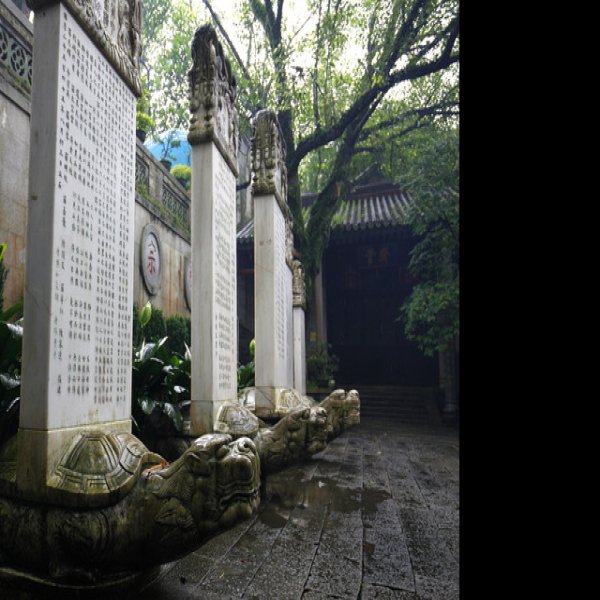 南禅湾晋墓群 - 图片7