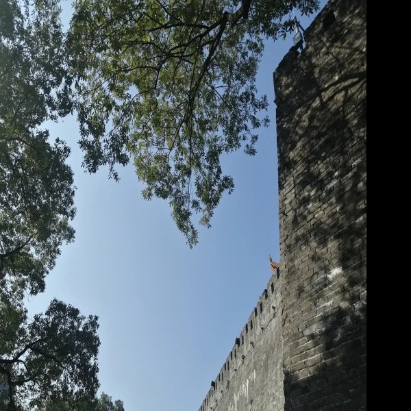 天心阁古城墙 - 图片5