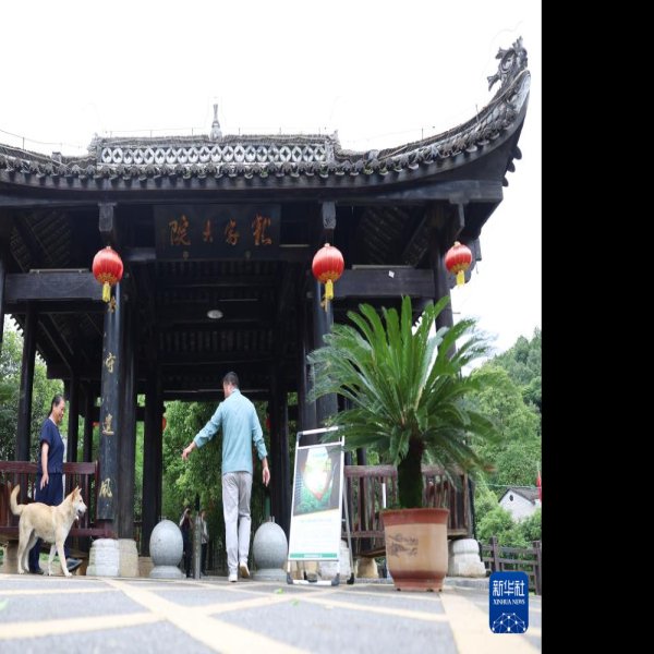 龙家大院 - 图片10