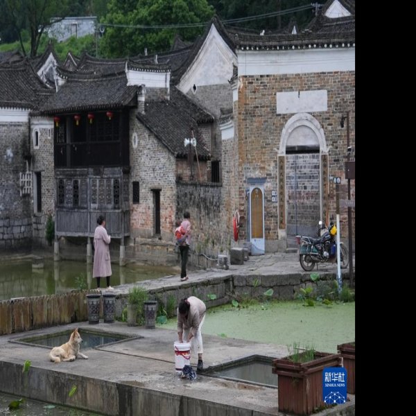 龙家大院 - 图片4