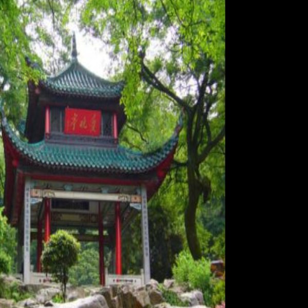 爱晚亭 - 图片10
