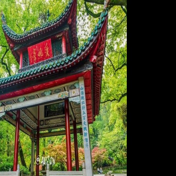 爱晚亭 - 图片3