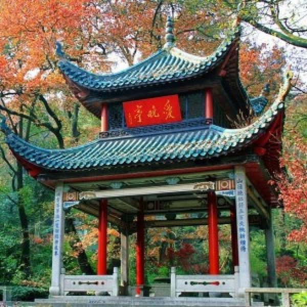 爱晚亭 - 图片5