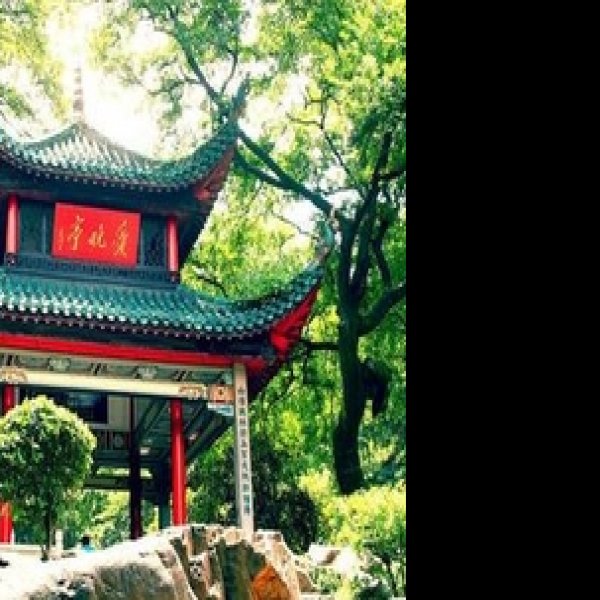 爱晚亭 - 图片6